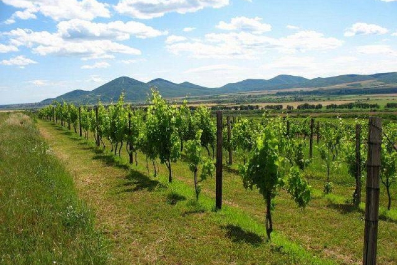 Tokajský expres